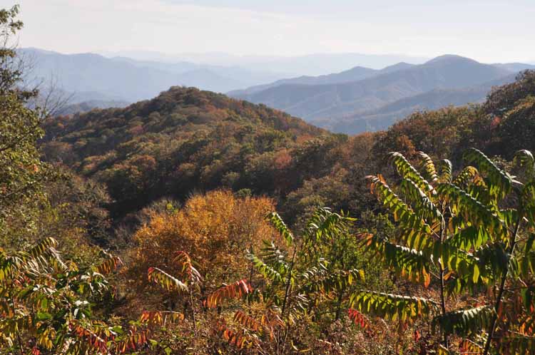 mountain vista